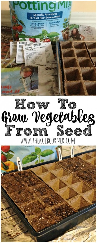 How to Grow Vegetables from Seed