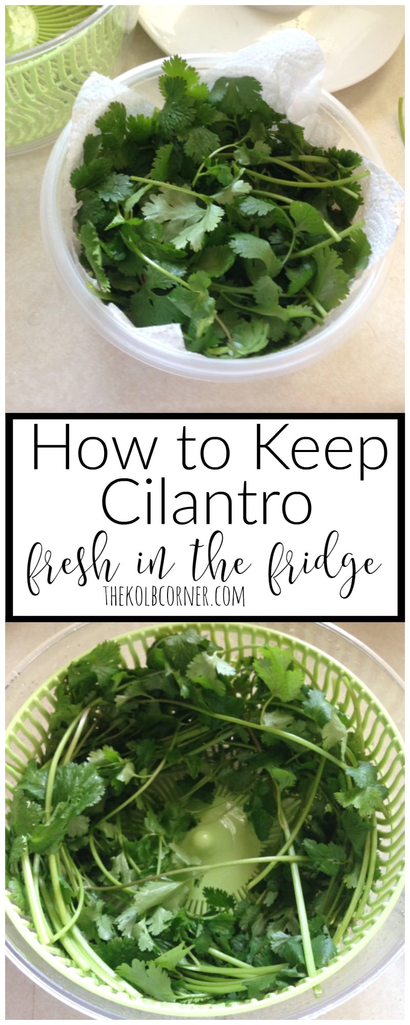 How to Keep Cilantro Fresh in the Fridge Domestically Creative