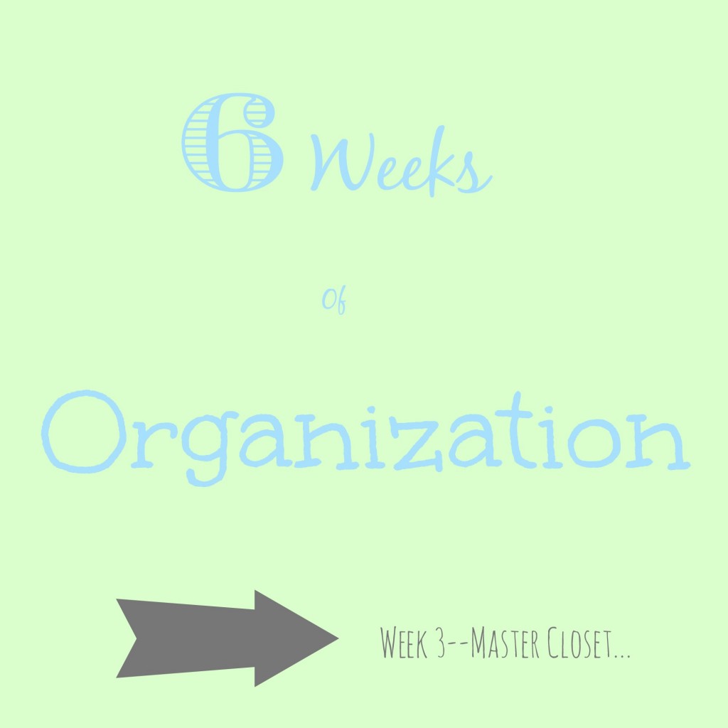 6 Weeks of Organization--Week 3--Master Closet
