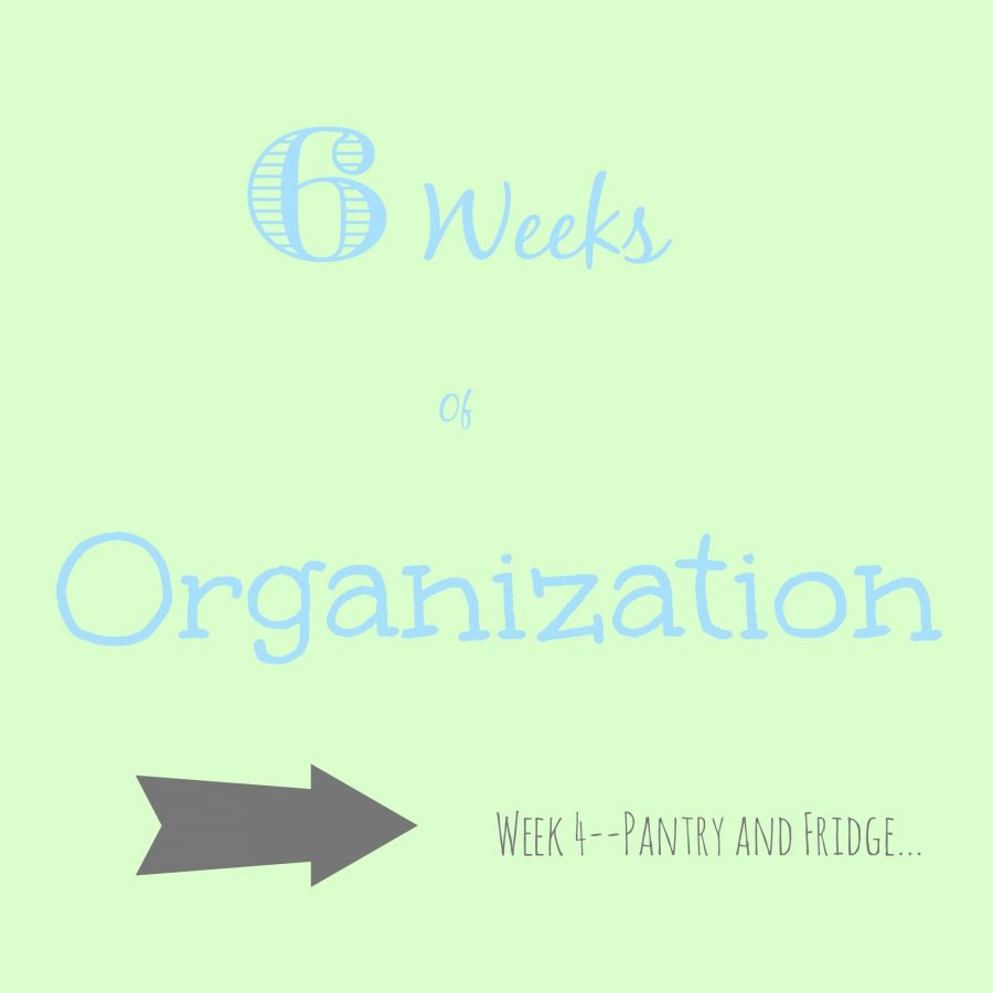 6 Weeks of Organization--Week 4--Pantry and Fridge