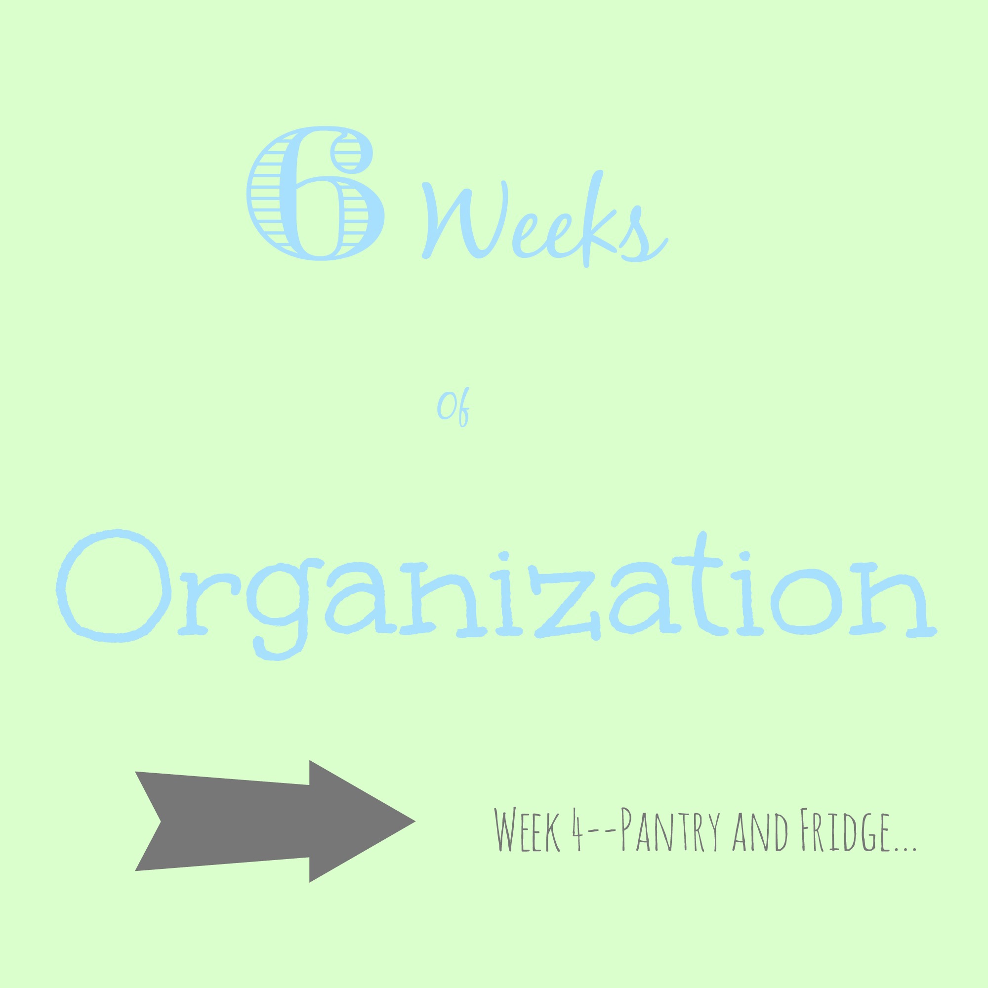 6 Weeks of Organization–Week 4–Pantry and Fridge