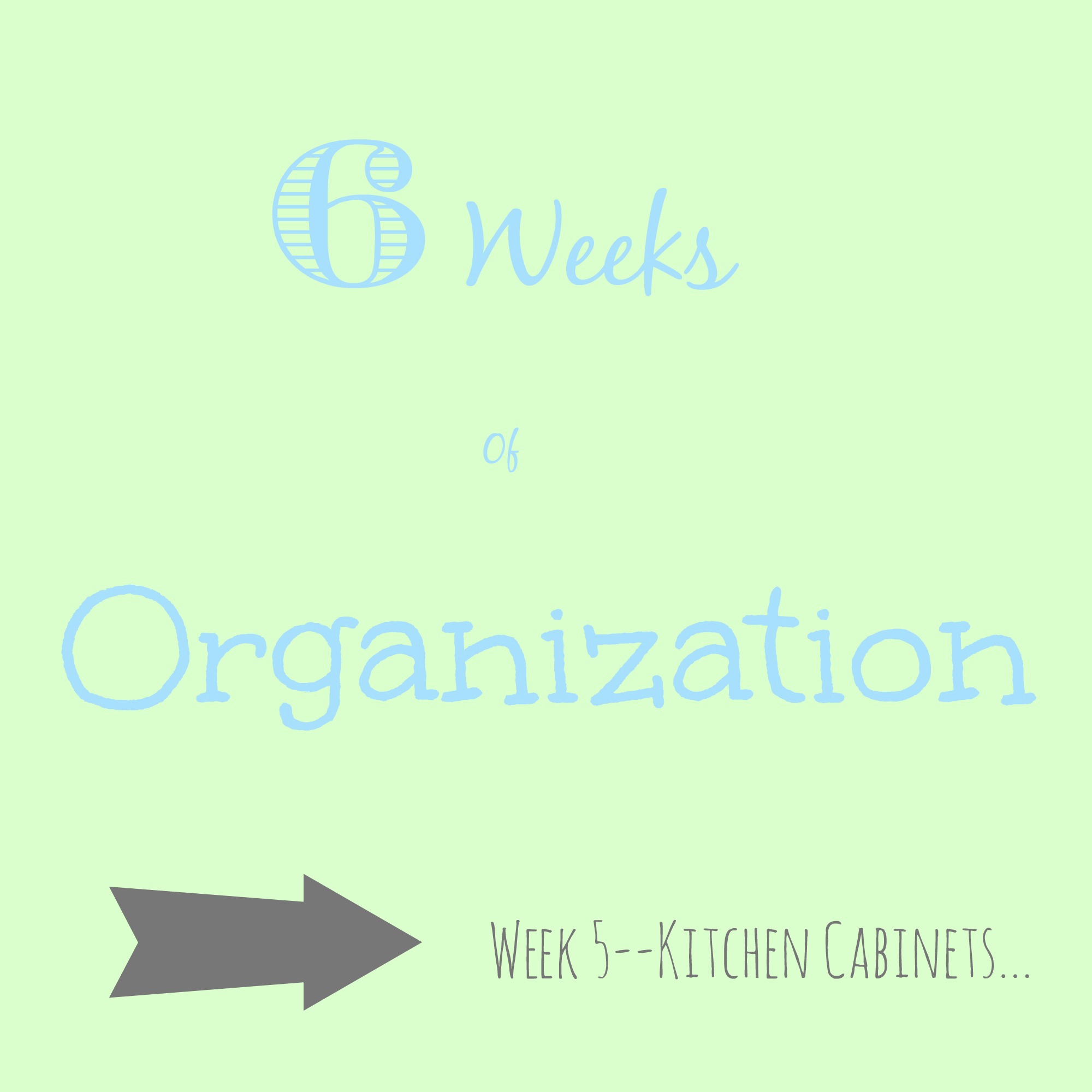 6 Weeks of Organization–Week 5–Kitchen Cabinets