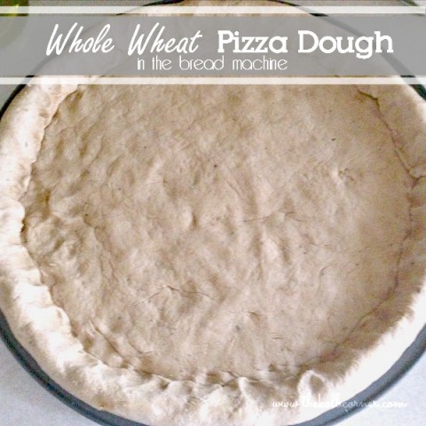 Whole Wheat Pizza Dough in a Bread Maker