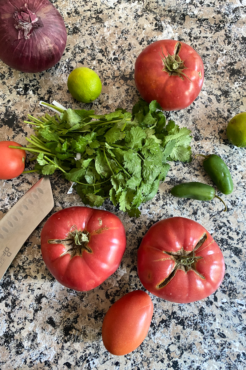 birds eye view of homemade salsa ingredients: tomatoes cilantro jalapeno limes red onion