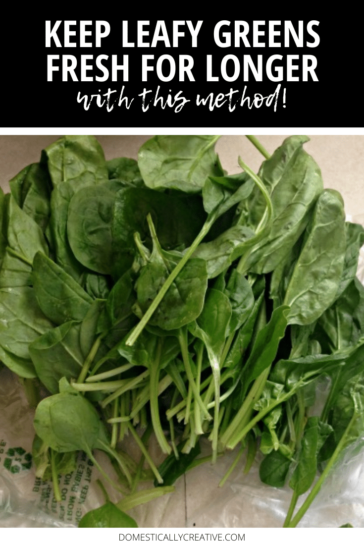 keep leafy greens fresh pin image