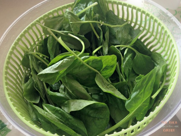 spinning the washed spinach until its dry