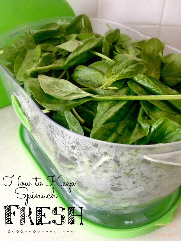 How to store fresh spinach