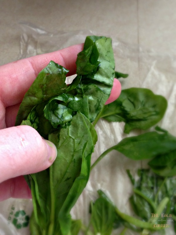 some mushy spinach leaves