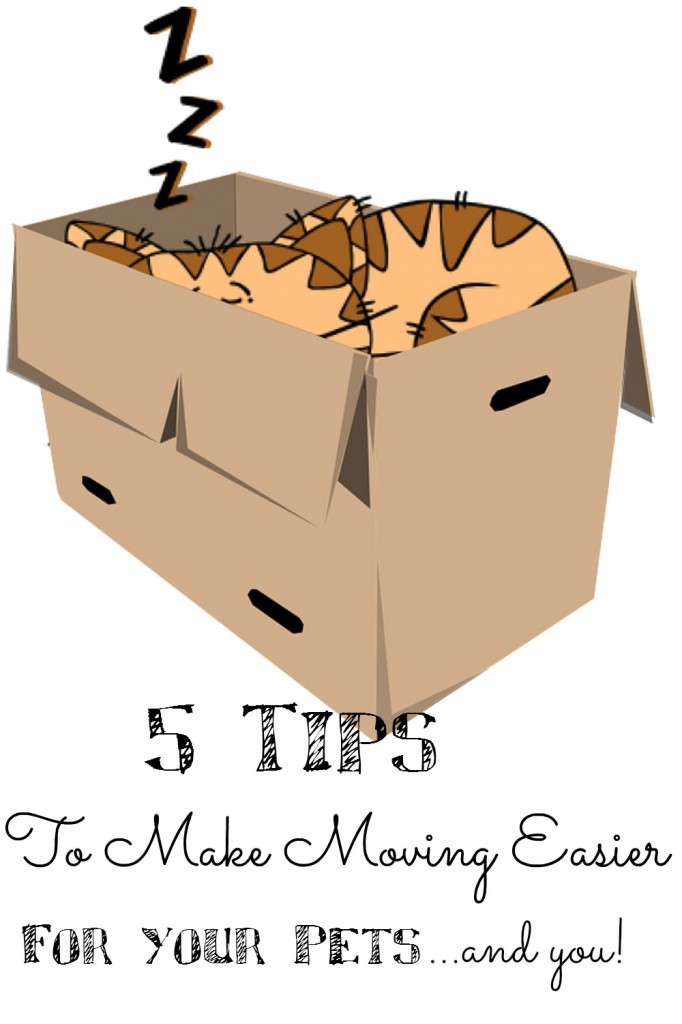 5 Tips to Make Moving Easier for Your Pets, and you