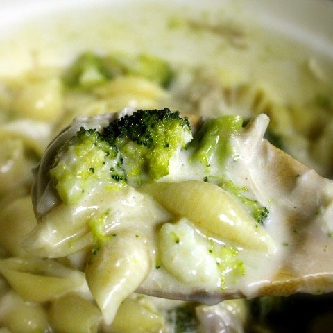 One Pot Cheesy Chicken and Broccoli Pasta. Easy meal ready in minutes.