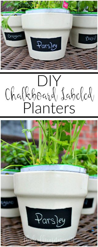 DIY Chalkboard Labeled Planters