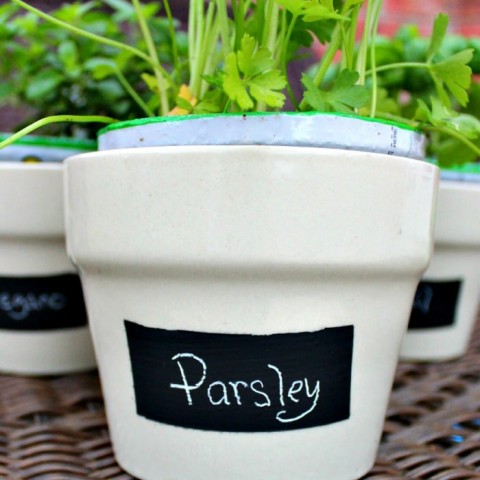 Chalkboard Labeled Planters