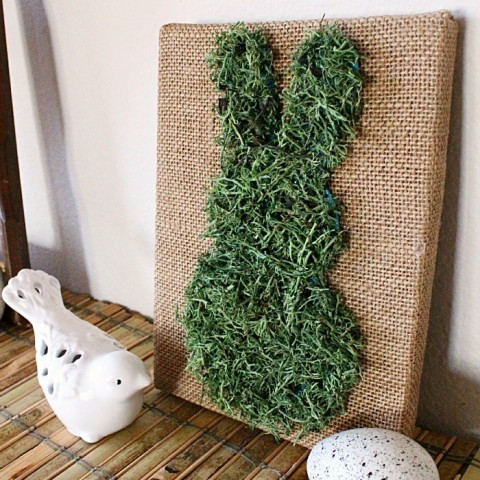 Moss Covered Bunny Canvas Art