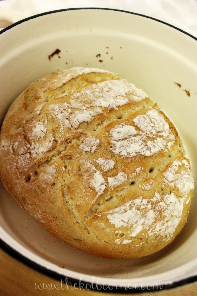 Artisan No Knead Dutch Oven Beer Bread Recipe » Not Entirely Average