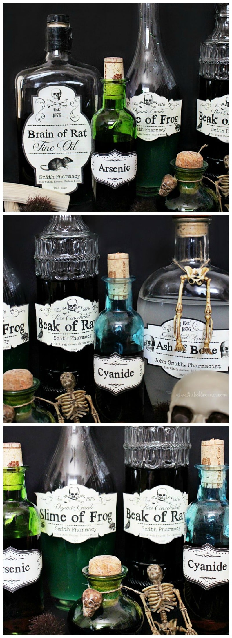 Halloween potion jars on black background collage