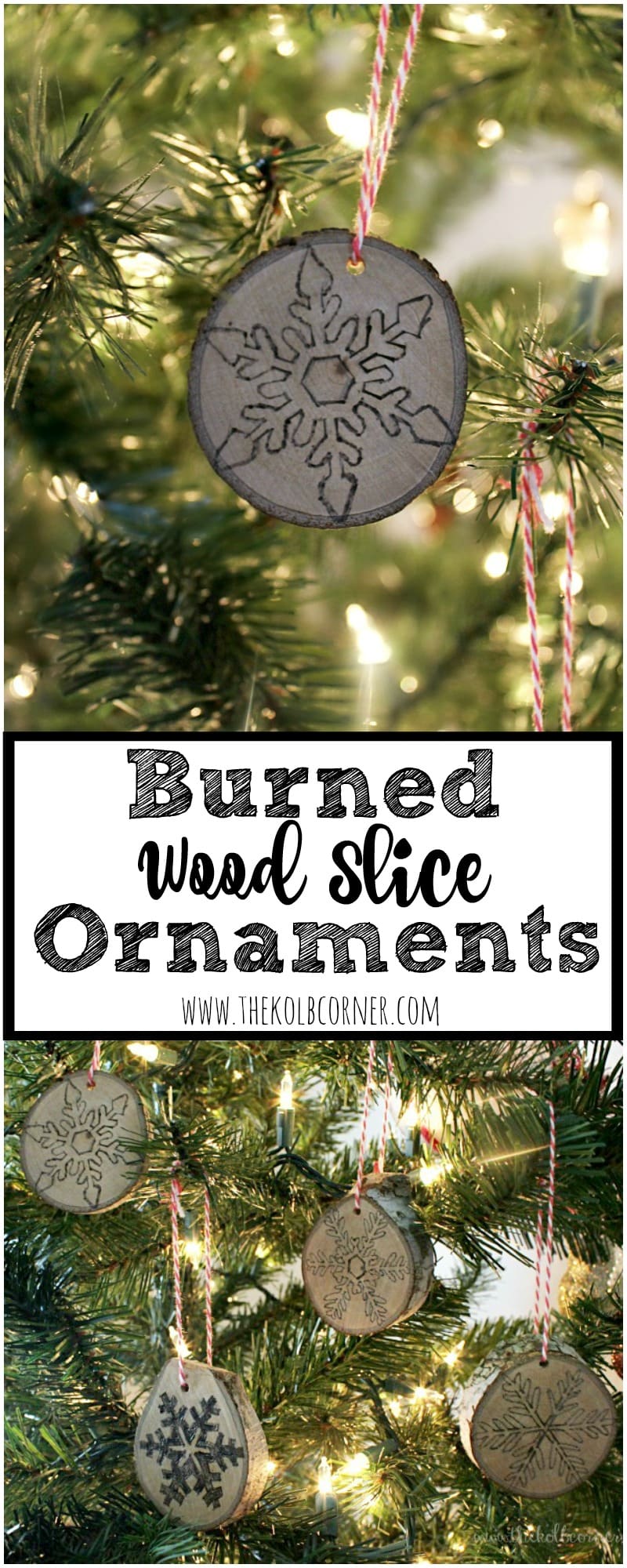 Burned Wood Slice Ornaments Hero