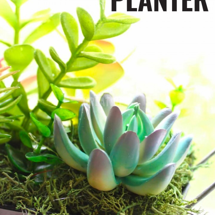 Simple DIY Faux Succulent Plante