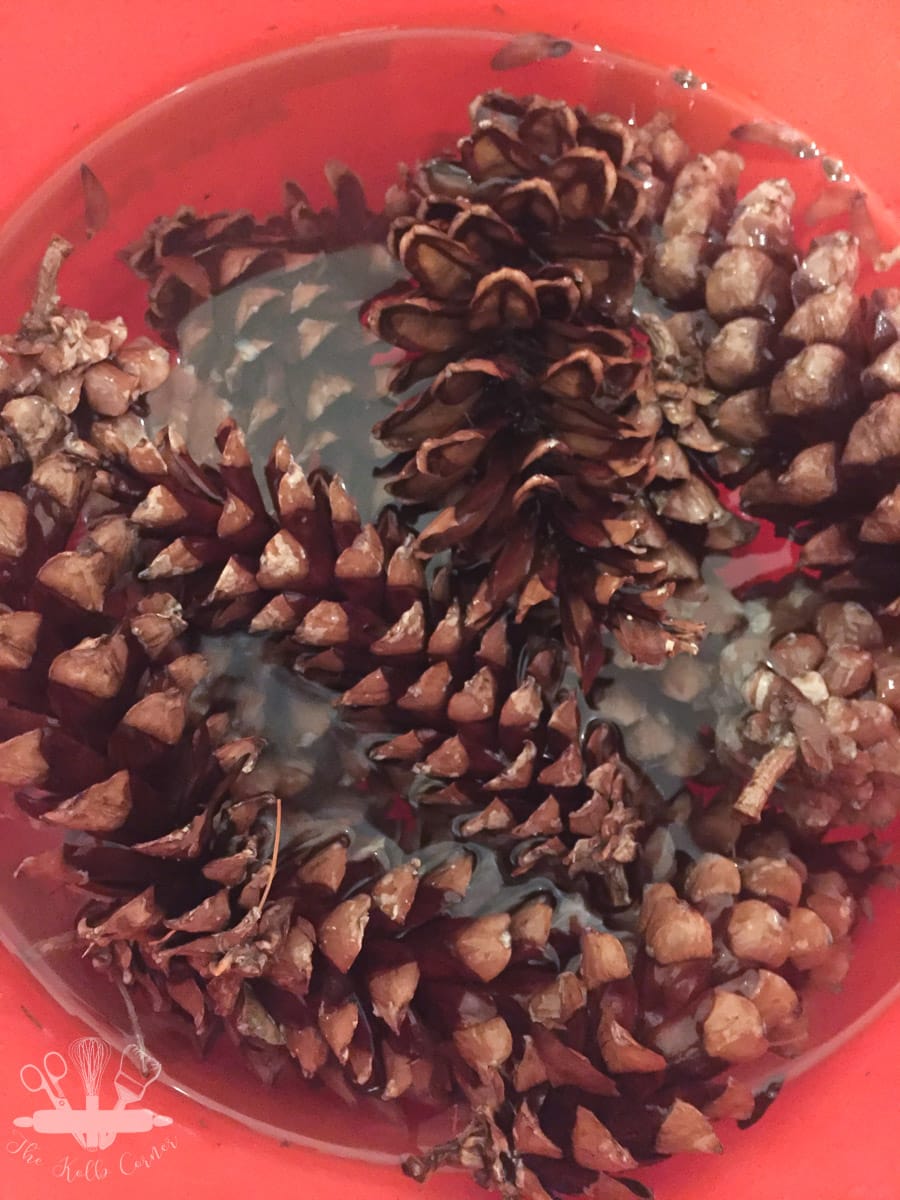 close up of pine cones soaking in a bucket