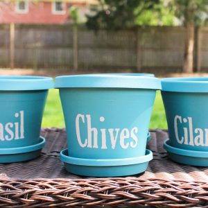 This couldn't get any easier! Make your own labeled herb planters with just a few supplies