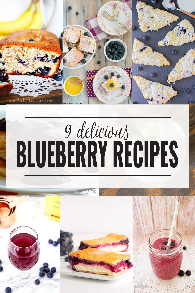 9 Delicious Blueberry Recipes perfect for Summer!