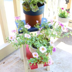 Painted Americana Plant Stand