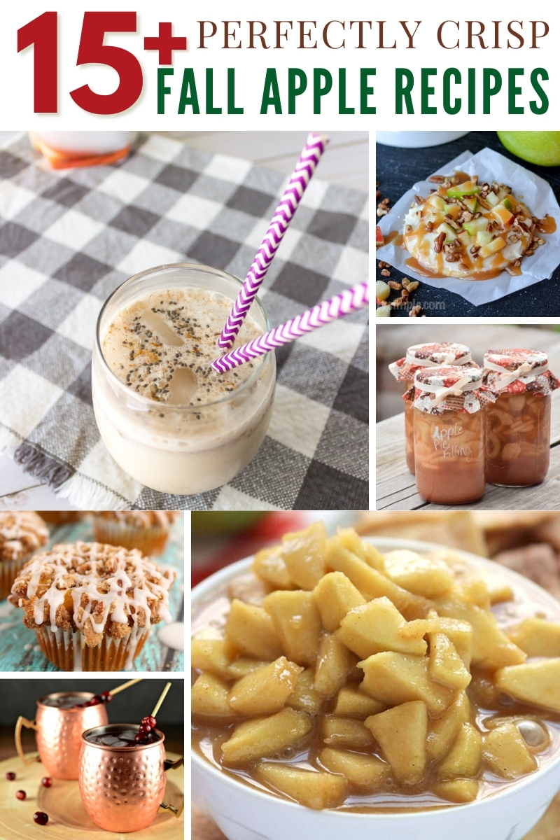 fall apple recipes collage