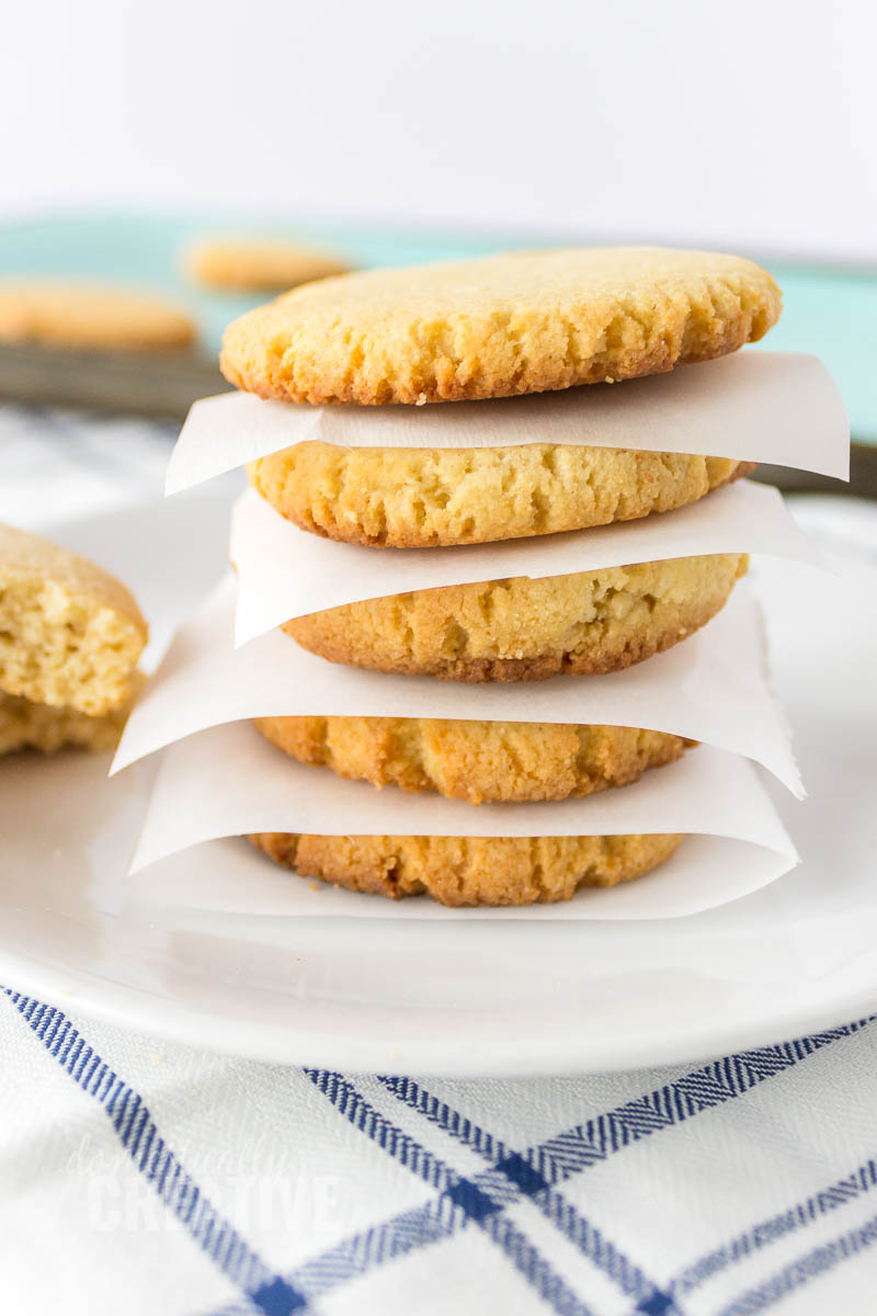 The Best Low Carb Pudding Cookies