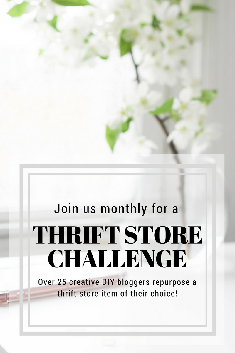 https://domesticallycreative.com/wp-content/uploads/2018/01/monthly-thrift-store-challenge.png