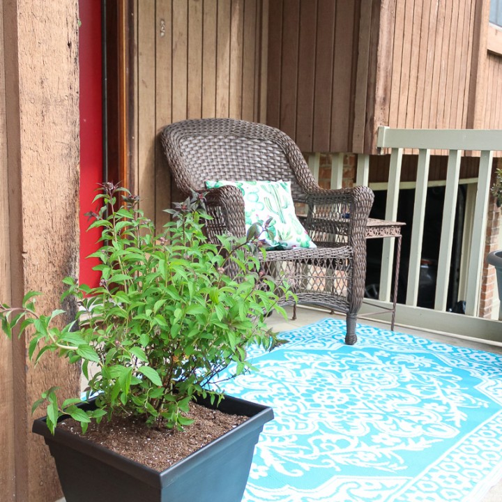 Container Gardening Guide