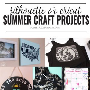Fun Summer Craft Projects you can make with a Silhouette OR Cricut!