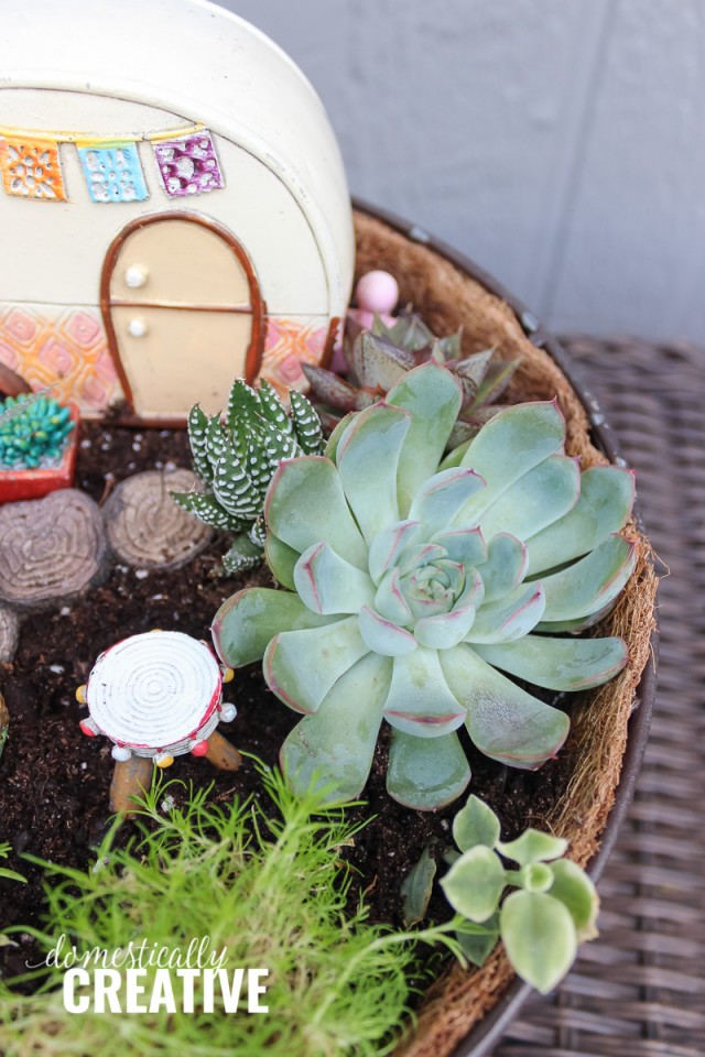 DIY Boho Succulent Fairy Garden - Domestically Creative