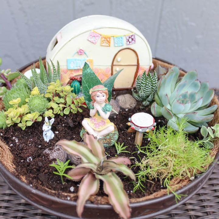 Image for DIY Boho Succulent Fairy Garden