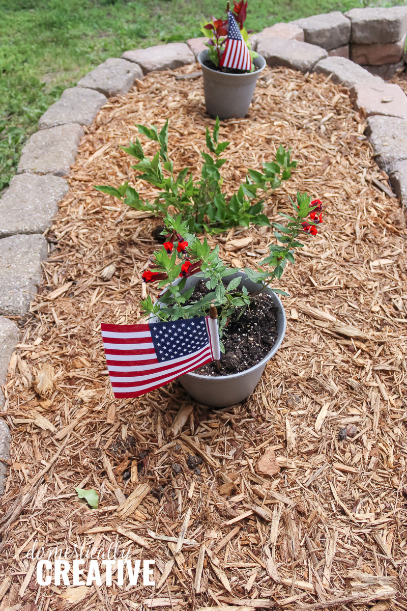 Front garden got a patriotic makeover.