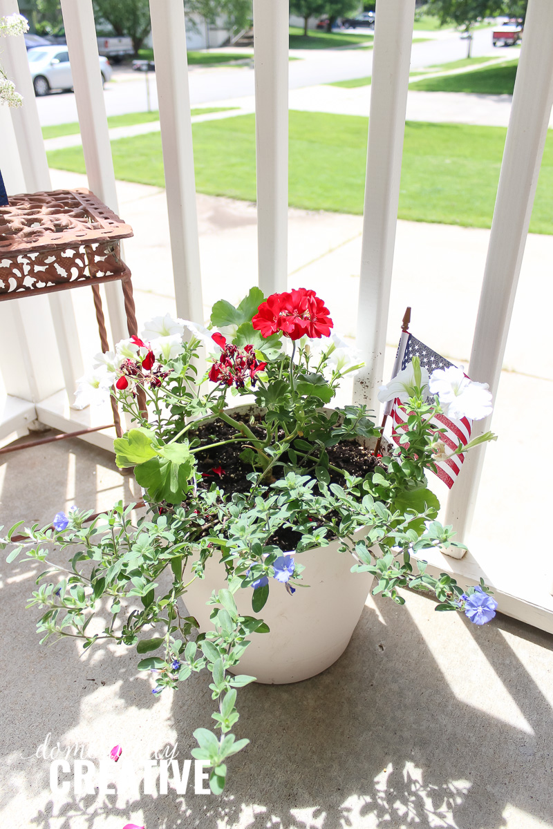 Red White and Blue flowers