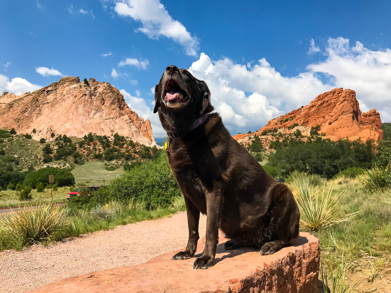 delilah at garden of the gods