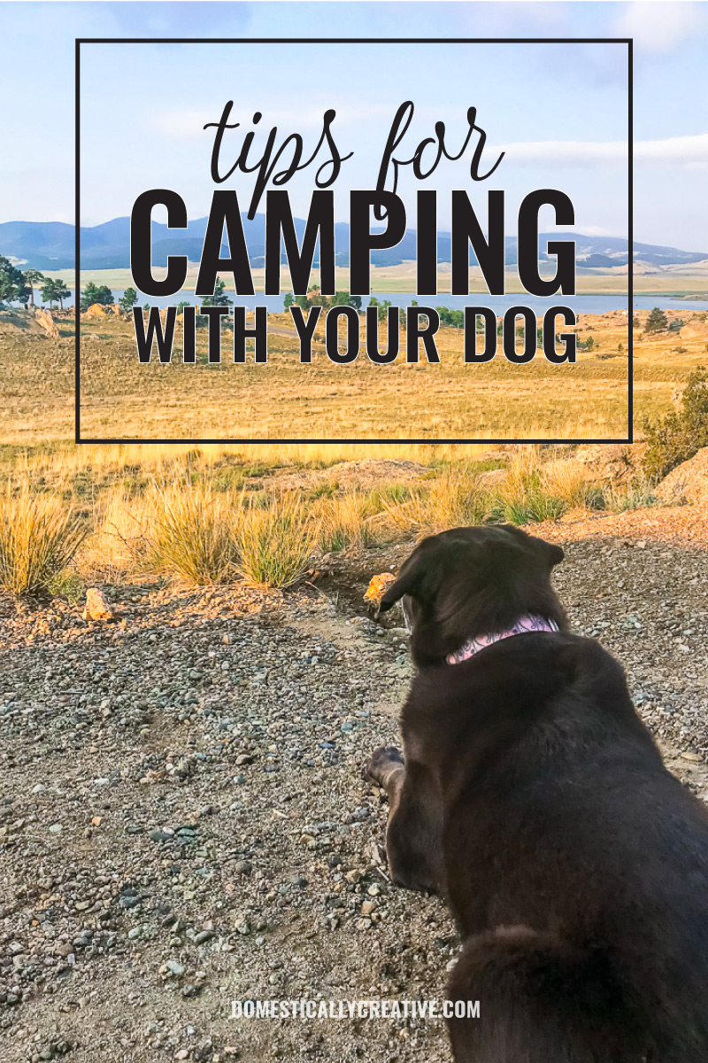 tips for camping with your dog
