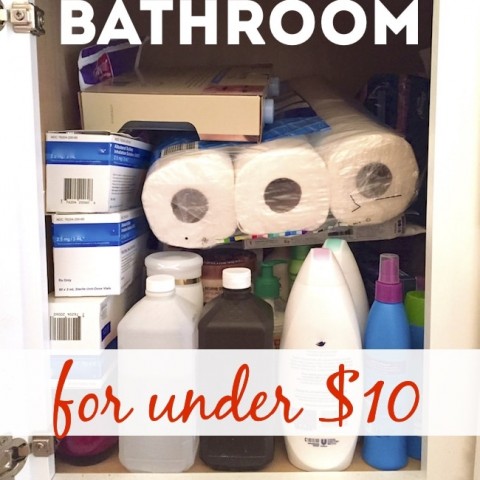 Image for Easy Bathroom Organization Hacks — ALL for Under $10!