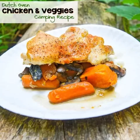 Image for Camping Dutch Oven Chicken and Vegetables Recipe