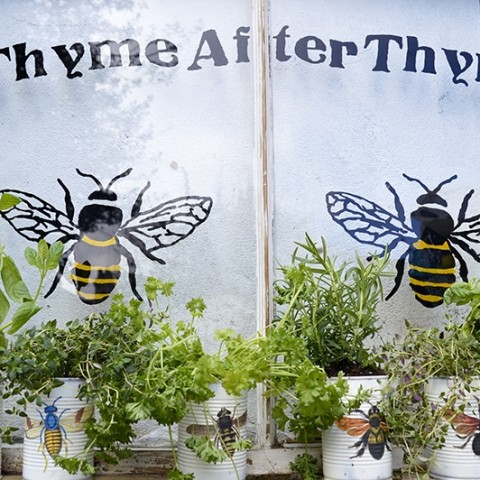 Image for How to Make an Upcycled Window Herb Planter