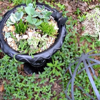 Image for Repurposed Broken Birdbath