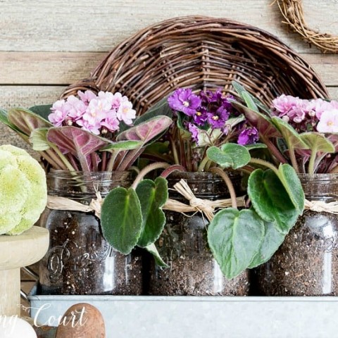 Image for An Easy And Inexpensive Gift Idea For Mother's Day