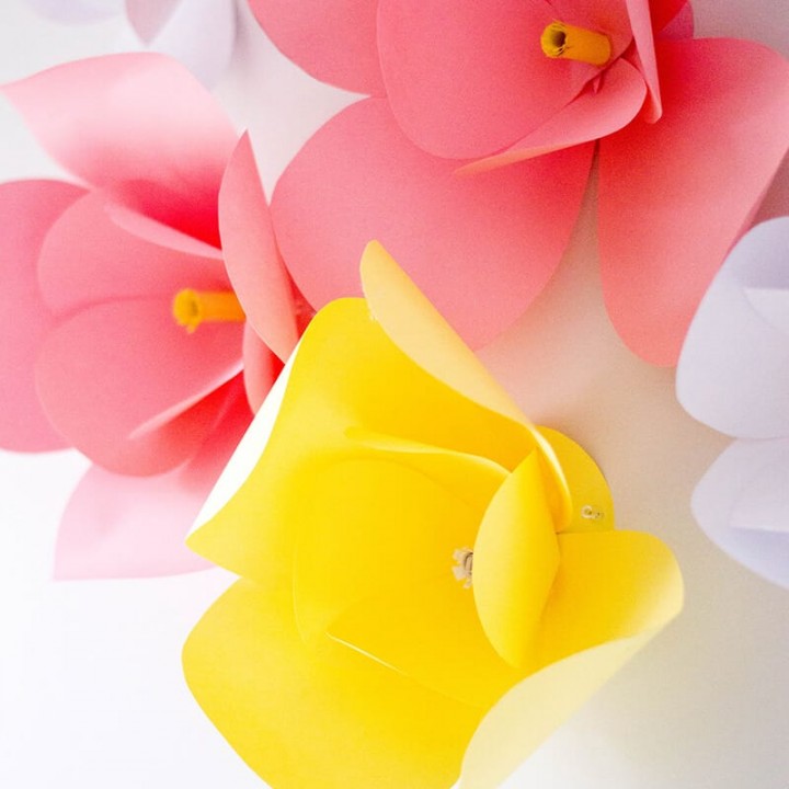 Image for DIY Paper Flowers - The Easiest DIY Wall Decor