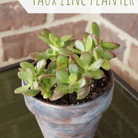 Image for Create the Look of Zinc Planters in 4 Easy Steps