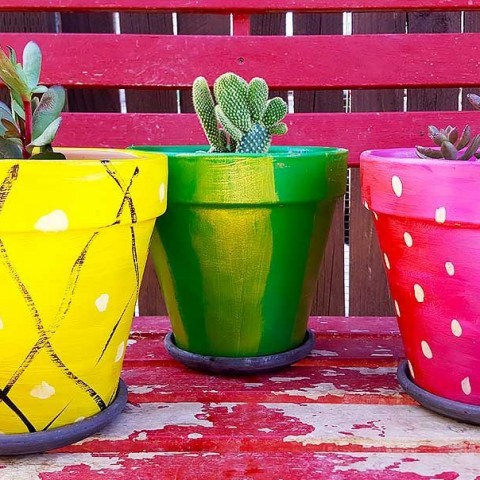 Image for Fruit Painted DIY Terra Cotta Pots