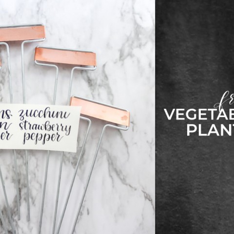 Image for Hand Lettered Vegetable Plant Labels {Freebie}