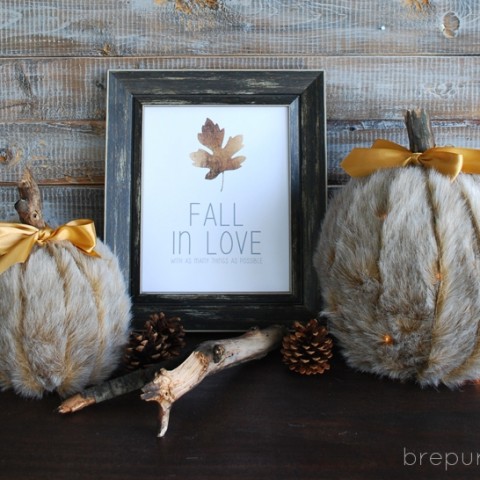 Image for DIY Faux Fur Covered Pumpkins