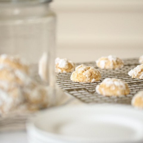 Image for Pumpkin Gooey Butter Cookies