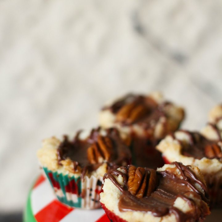 Image for Turtle Sugar Cookie Bites