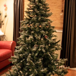 Image for How To Shrink-Wrap Your Christmas Tree For Fun & Profit!