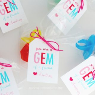 Image for Gem of A Friend